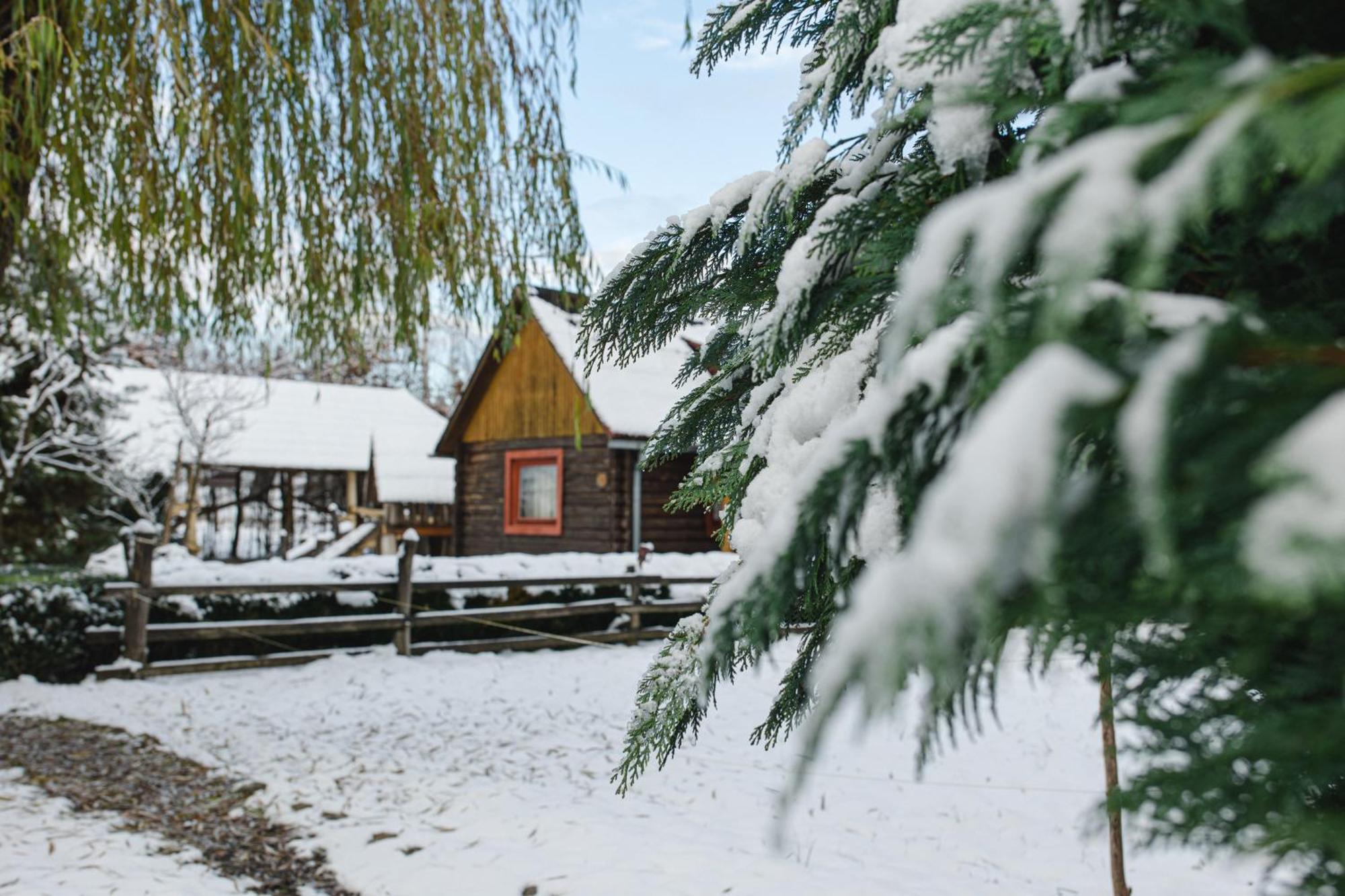 فندق Kolyba Opryshkiv *